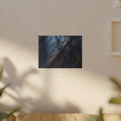 Rust Patina Canvas Art | Spring Dark Japandi Shadow Zen Art