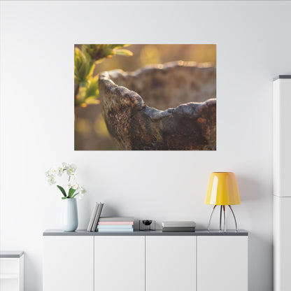 Golden Hour Ceramic Bowl Canvas Art - Dark Japandi Ma