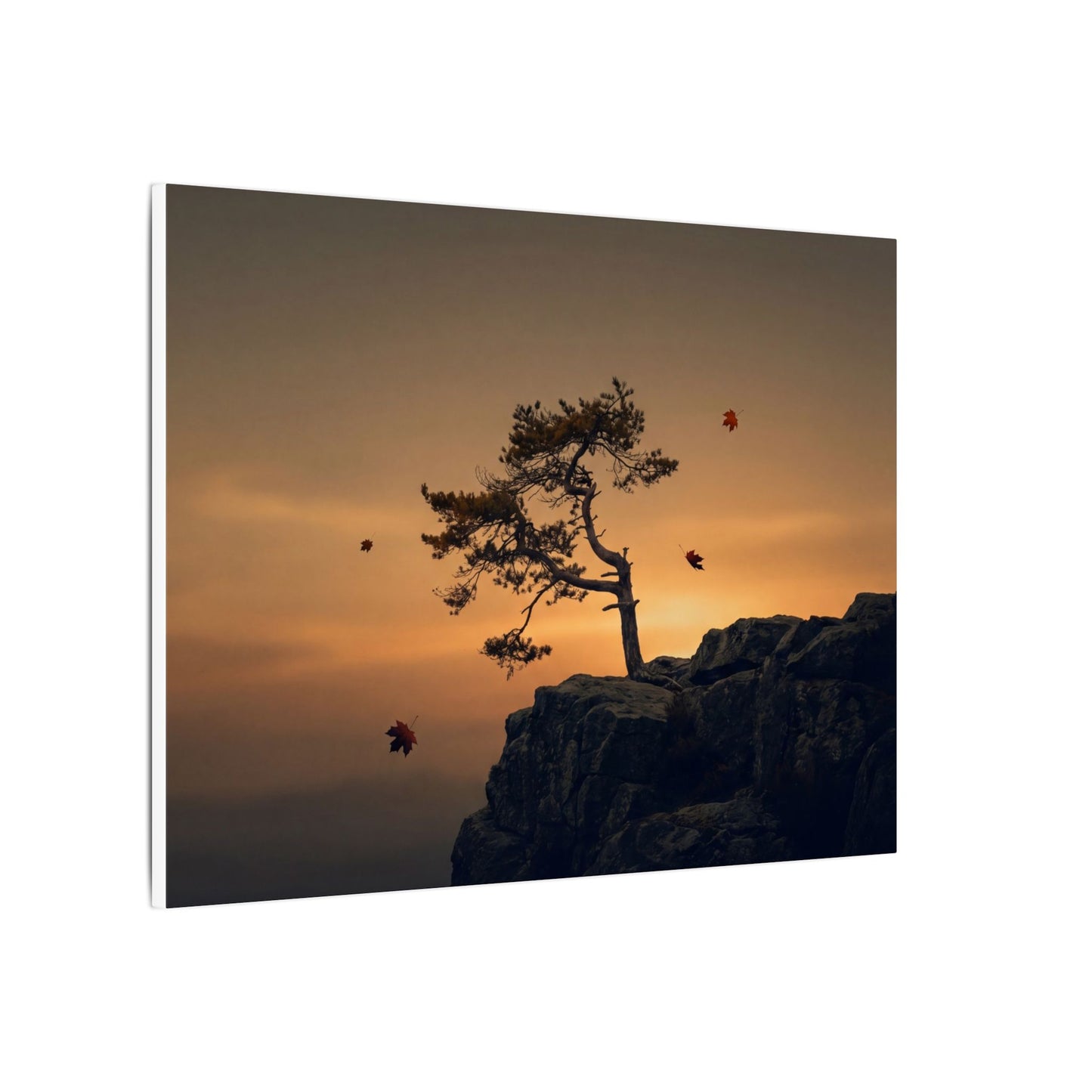 Dark Japandi Pine Tree in Golden Hour | Moody Minimal Canvas Art