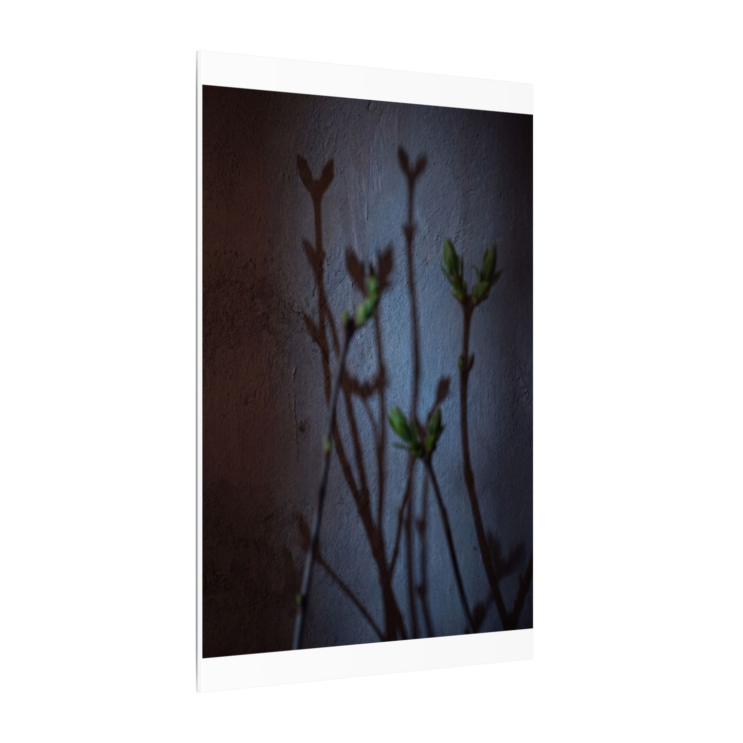 Shadow Play Spring Canvas Art | Dark Japandi Sophisticated Design