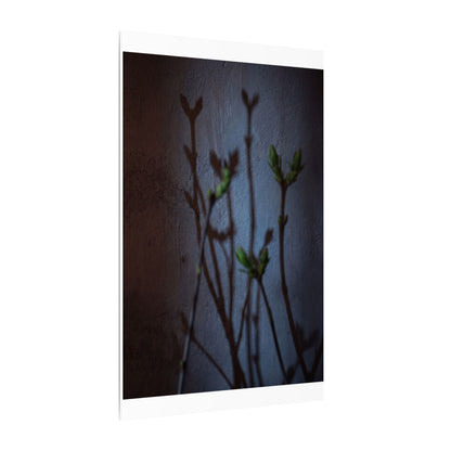 Shadow Play Spring Canvas Art | Dark Japandi Sophisticated Design