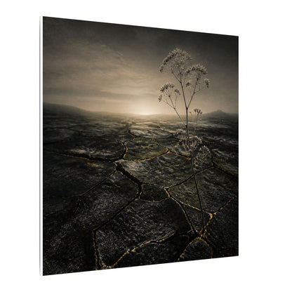 Dawn Cracked Earth Canvas Art - Dark Japandi Mono No Aware