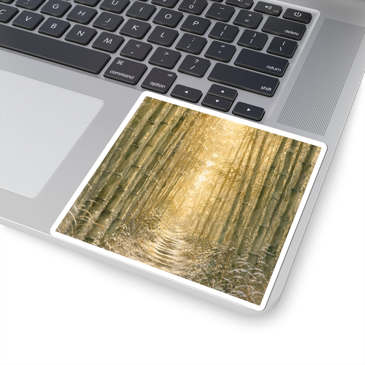 Golden Hour Bamboo Grove Sticker - Japandi Shibui