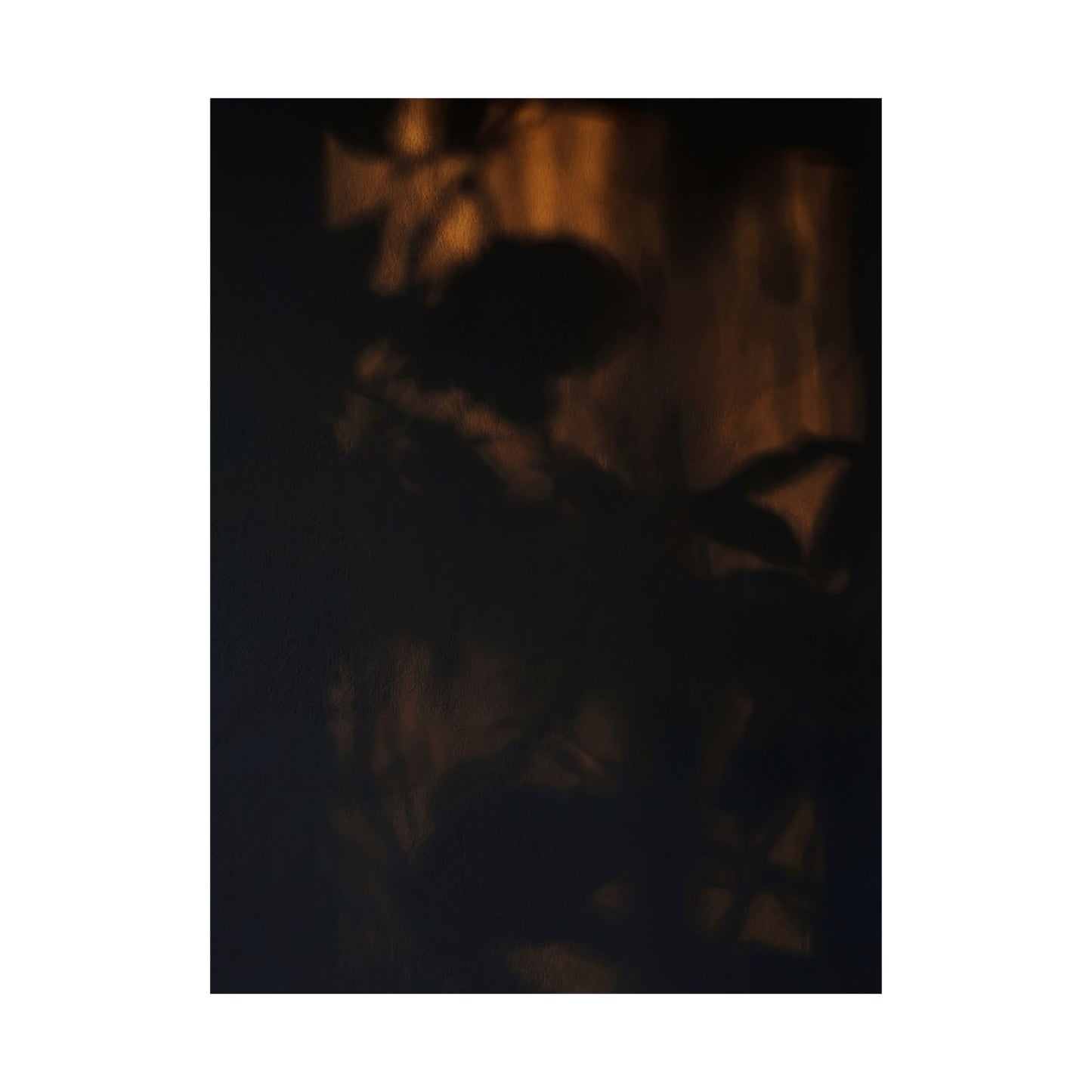 Shadow Play Summer Wall Art Print | Dark Japandi Atmospheric Design