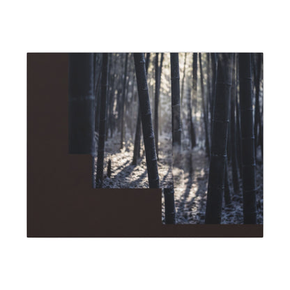 Bamboo Grove Canvas Art | Winter Dark Japandi Moody Minimal Art