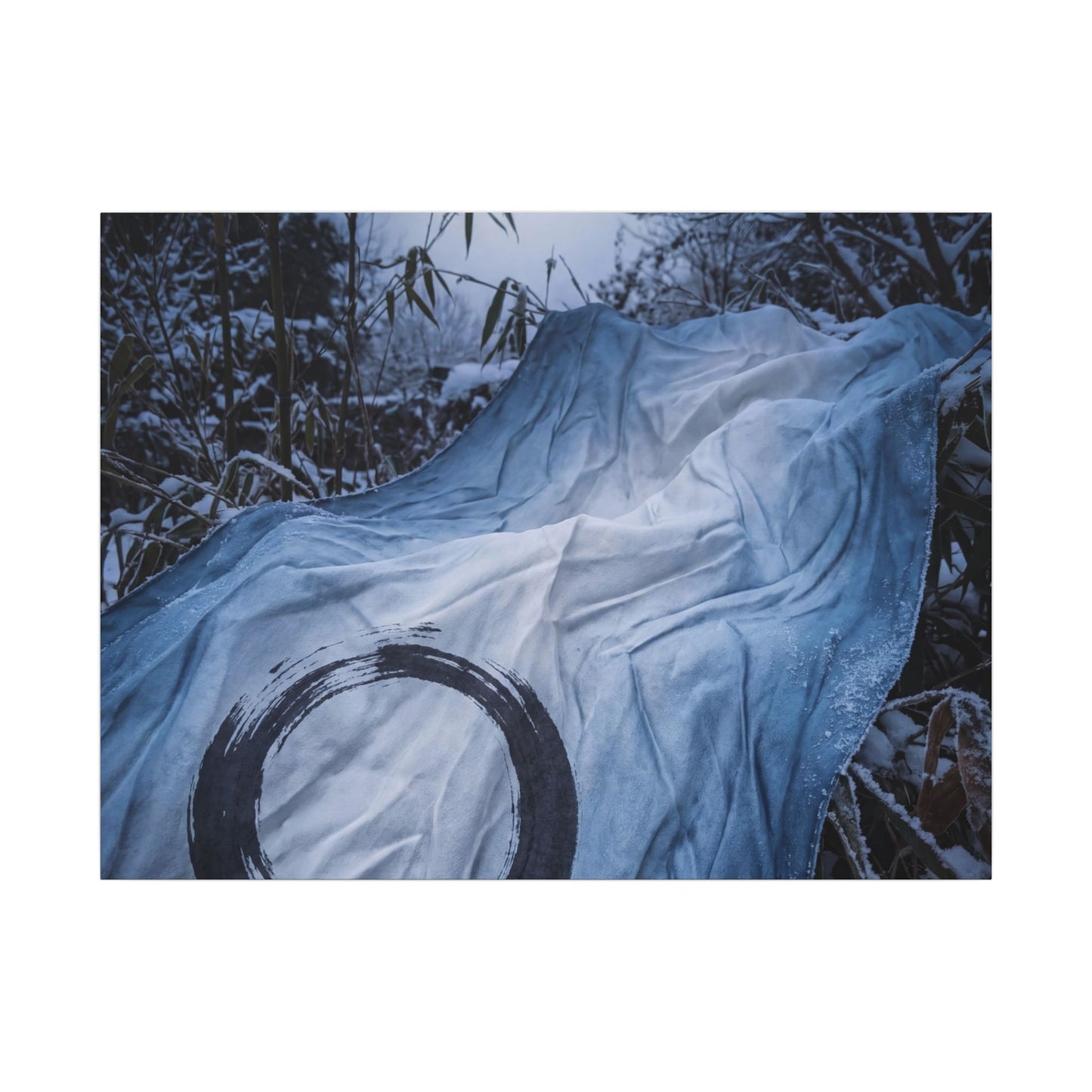 Moonlight Silk Drape Canvas Art - Zen Datsuzoku