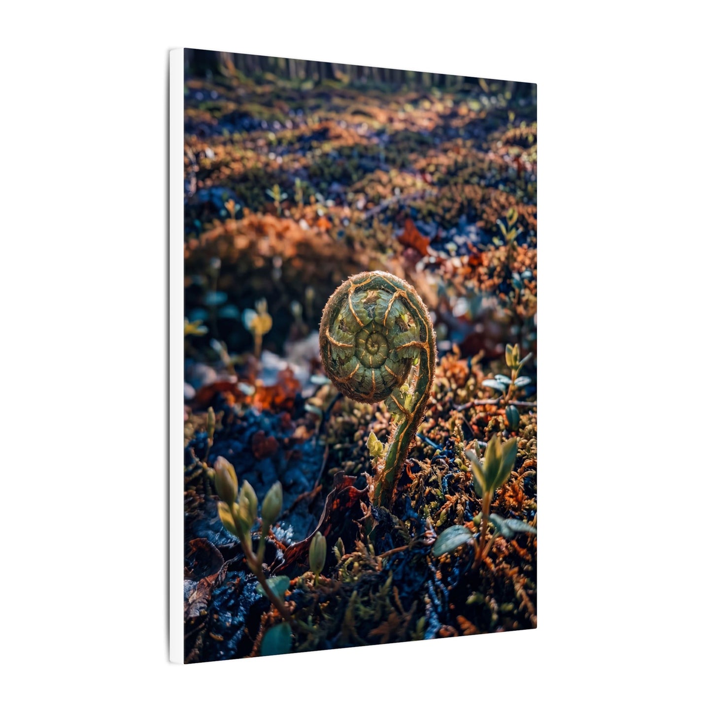 Kintsugi Fern Unfurling in Dappled | Gold Vein Canvas Art