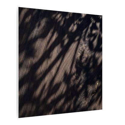 Shadow Play Summer Canvas Art | Dark Japandi Moody Design