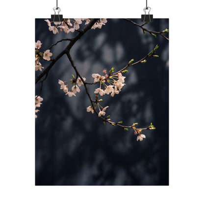 Dappled Cherry Blossom Wall Art Print - Dark Japandi Ma
