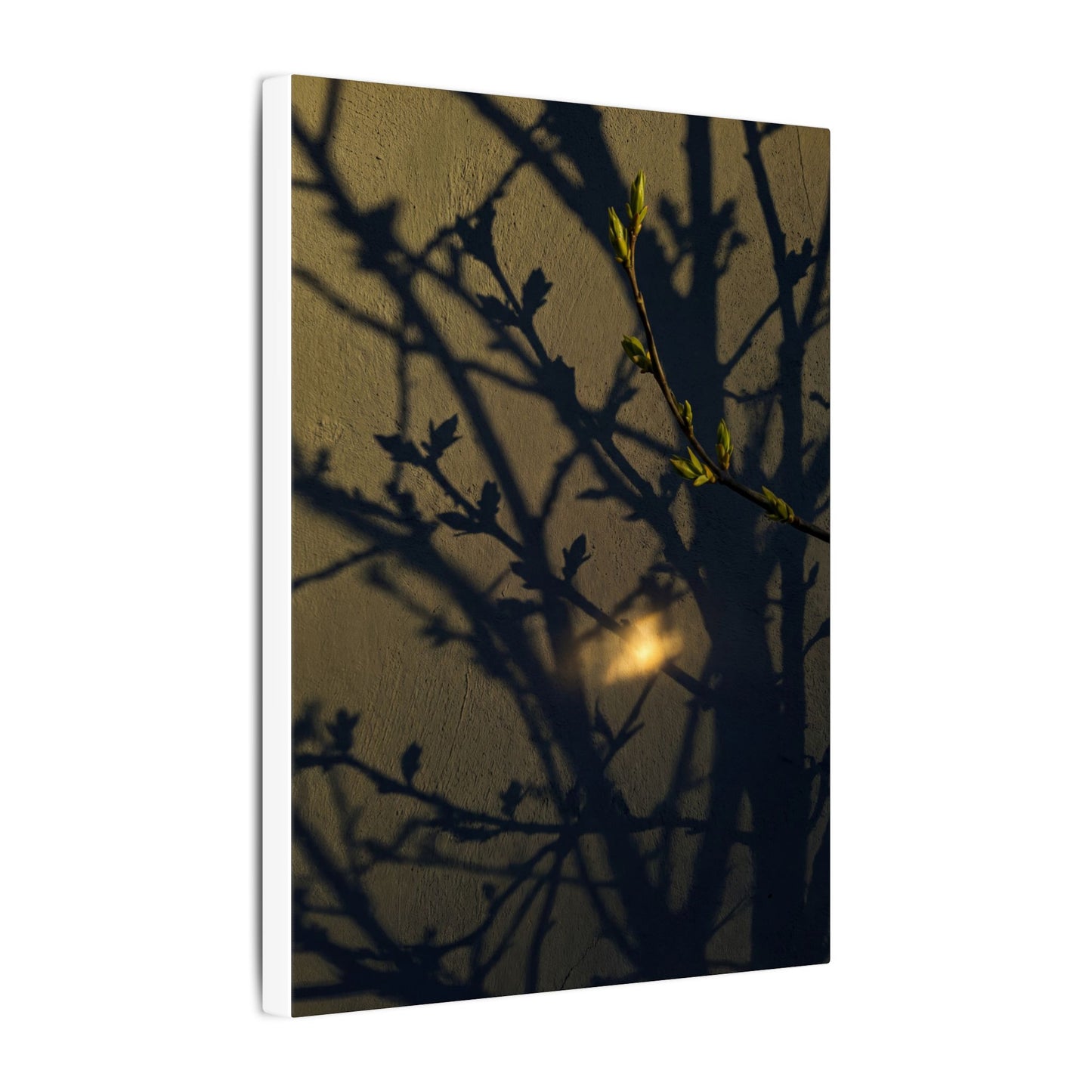 Bold Shadow Play Canvas Art - Moody Minimal Dark Japandi