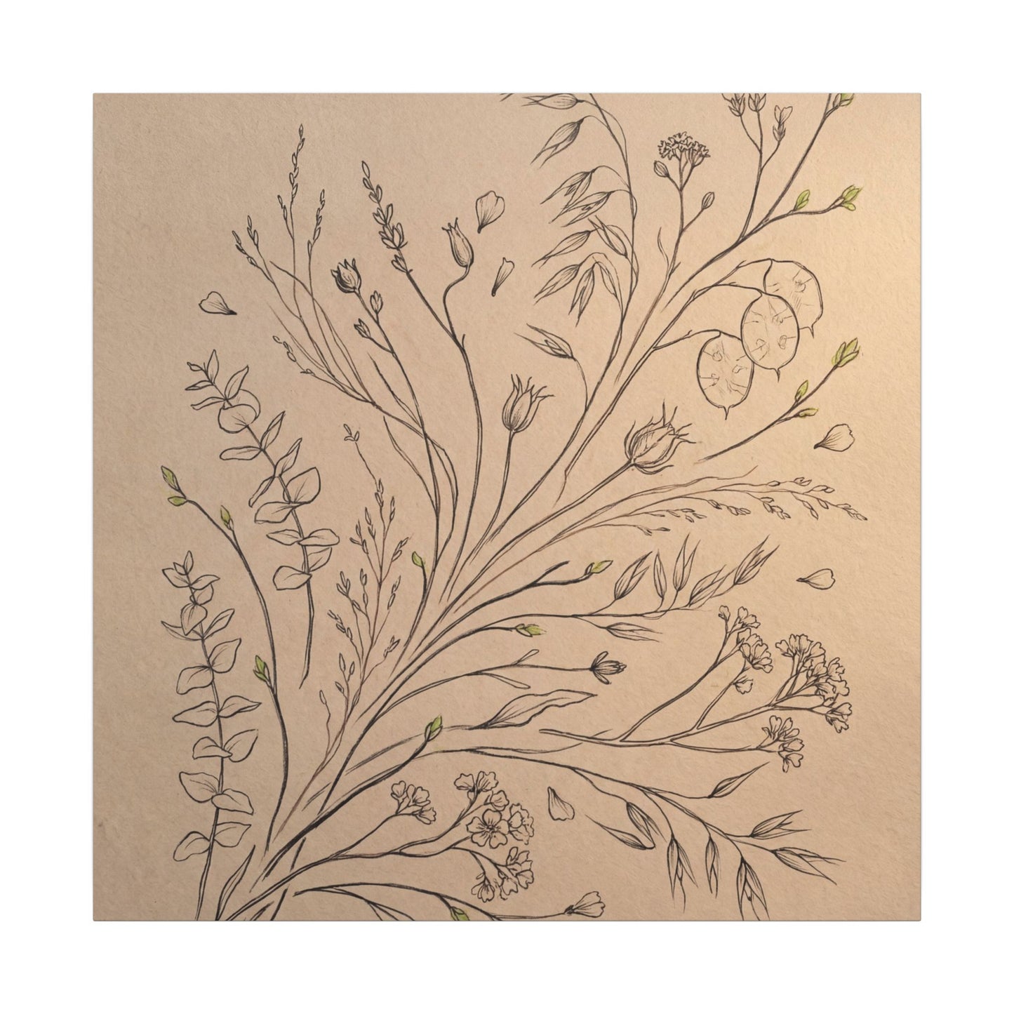 Dried Flowers Canvas Art | Spring Japandi Minimal Line Art