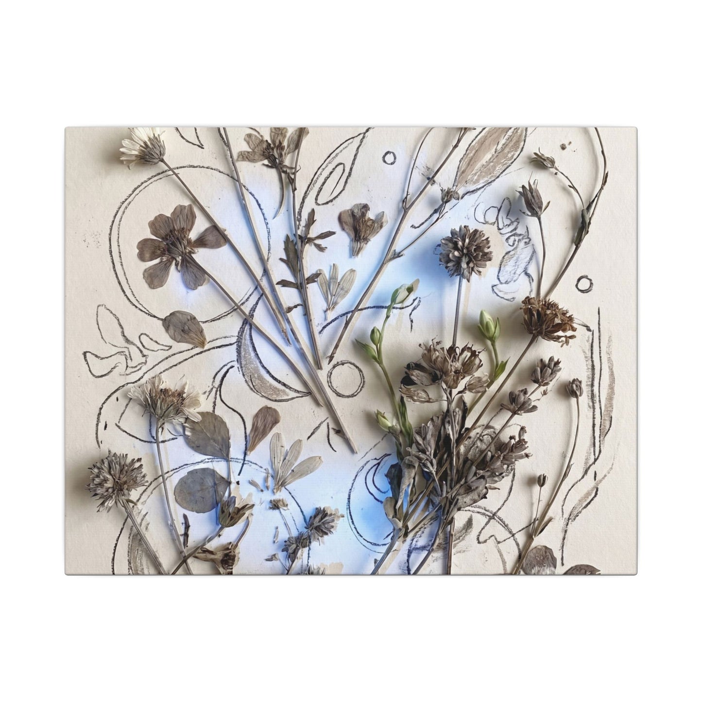 Dried Flowers Minimal Line Canvas Art | Elegant Japandi Art Art Print