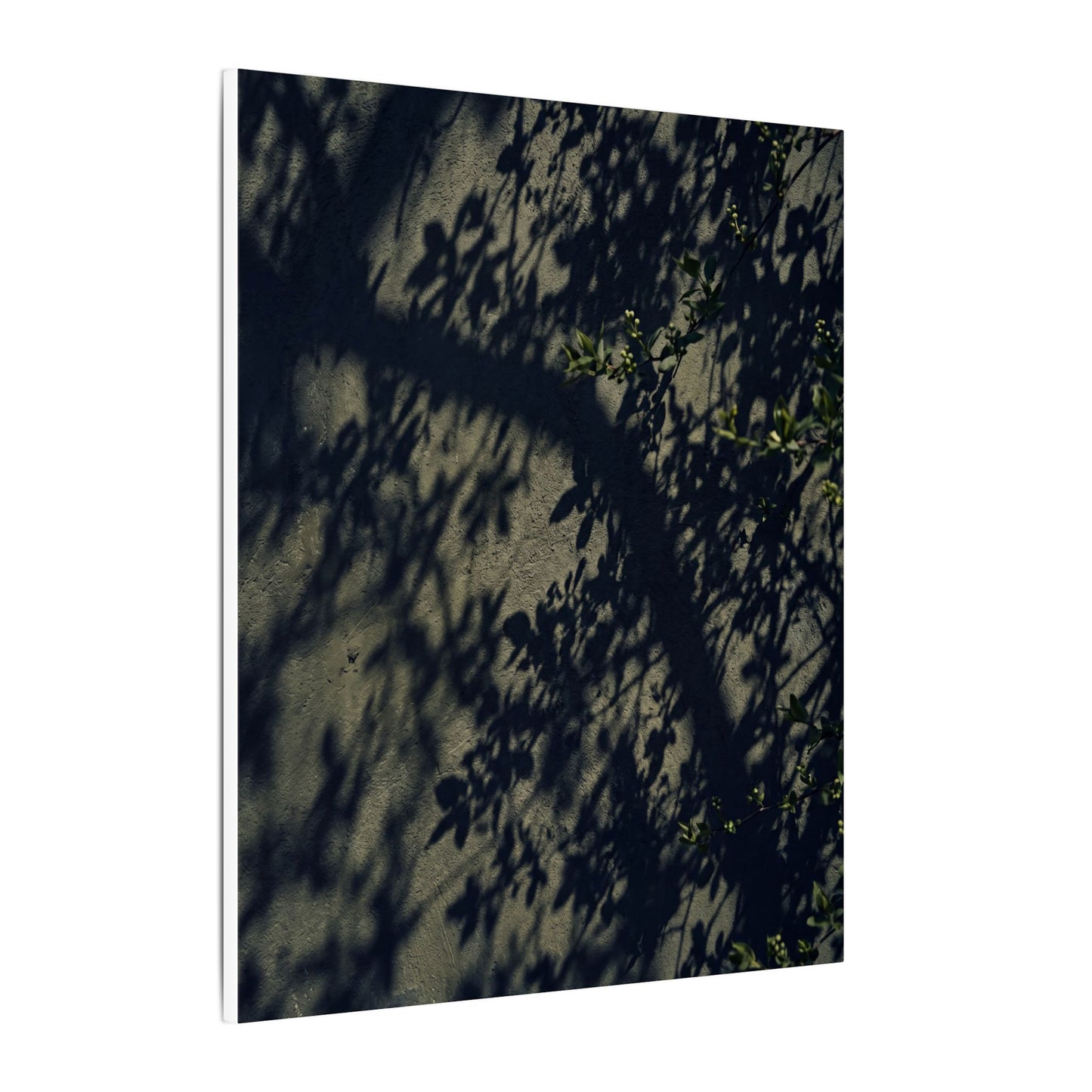 Atmospheric Shadow Play Canvas Art - Moody Minimal Dark Japandi