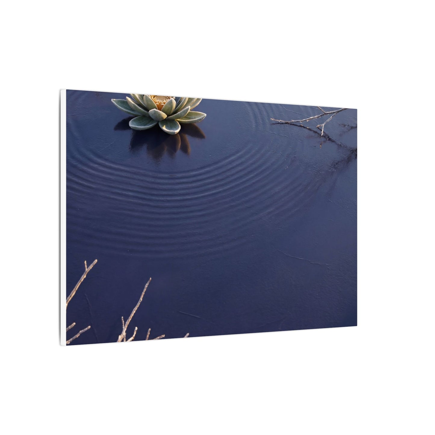 Lotus Flower Canvas Art | Winter Zen Karesansui Art