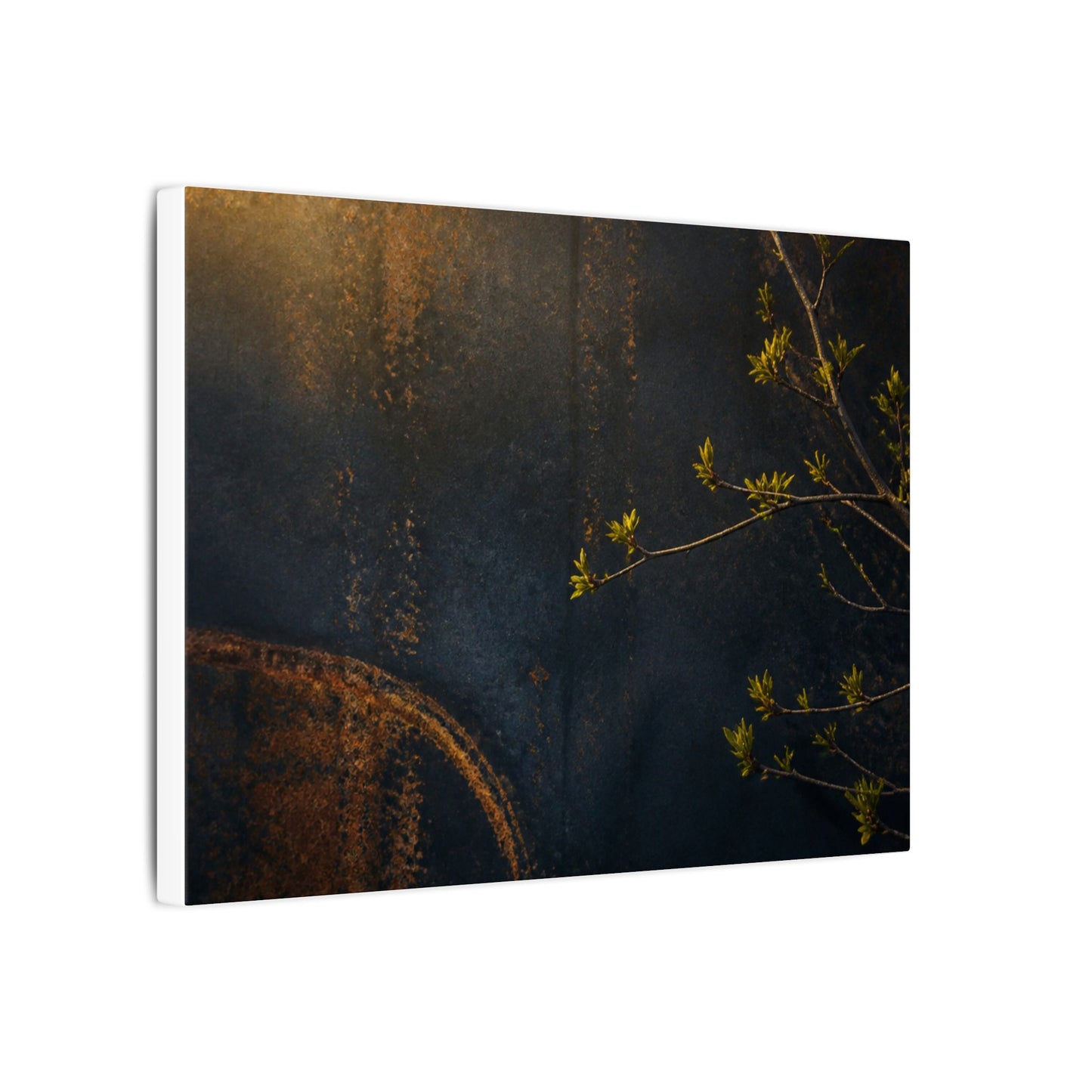 Spring Rust Patina Dark Texture Canvas Art | Moody Decor