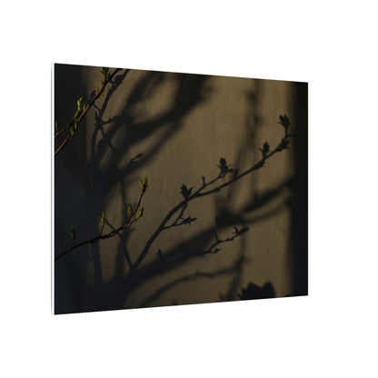 Seijaku Shadow Play Canvas Art - Dark Japandi Charcoal Ink