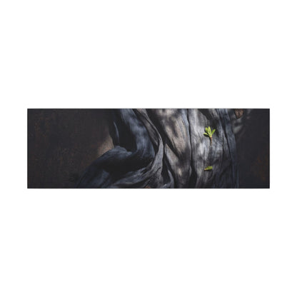 Seijaku Silk Drape Canvas Art - Dark Japandi Dark Texture