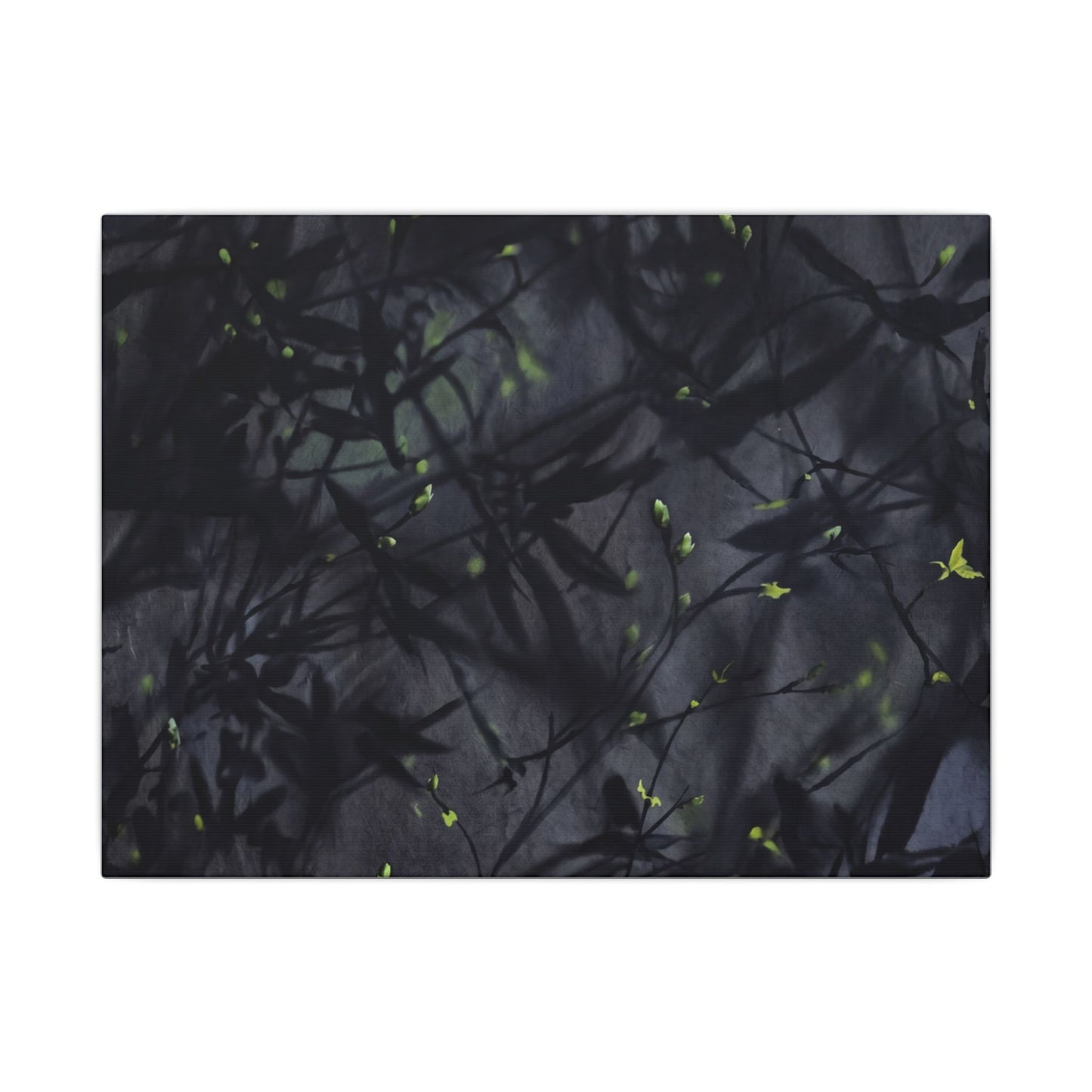 Shadow Play Spring Canvas Art | Dark Japandi Atmospheric Design