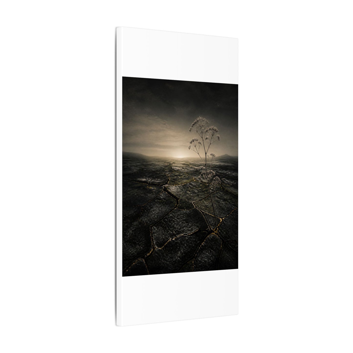 Dawn Cracked Earth Canvas Art - Dark Japandi Mono No Aware