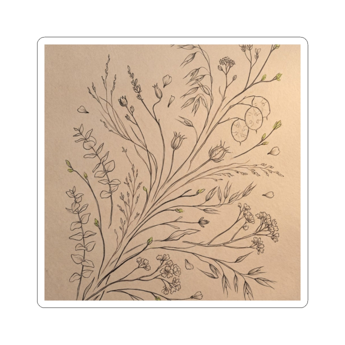Dried Flowers Spring Sticker | Japandi Earthy Design Art Print