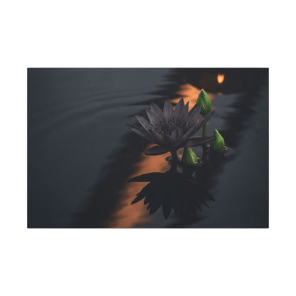 Seijaku Lotus Flower Canvas Art - Dark Japandi Shadow Zen