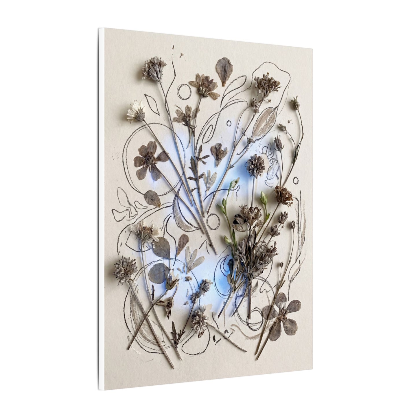 Dried Flowers Minimal Line Canvas Art | Elegant Japandi Art
