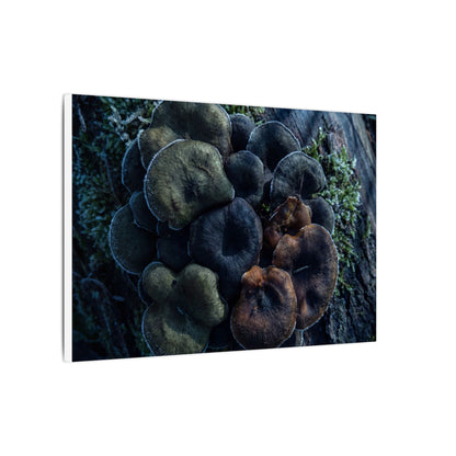 Wild Mushrooms Moody Minimal Canvas Art | Moody Dark Japandi Art