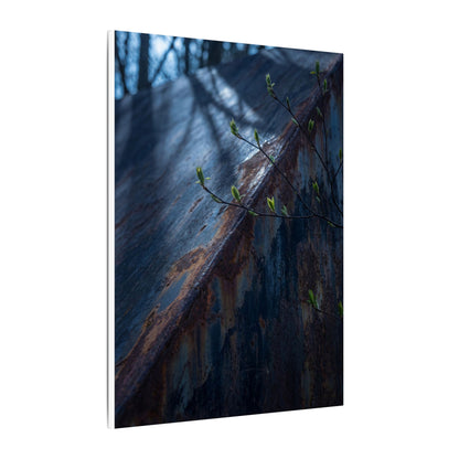 Rust Patina Canvas Art | Spring Dark Japandi Shadow Zen Art