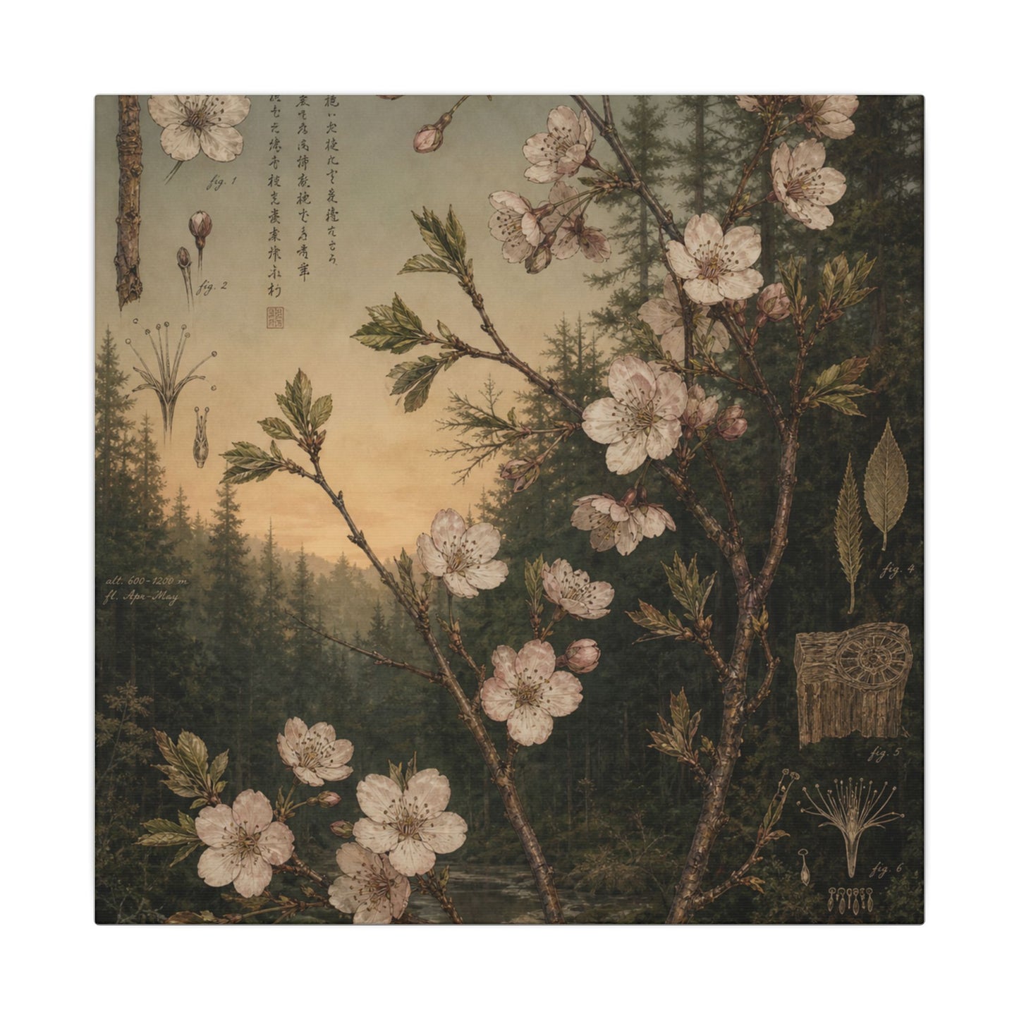 Spring Cherry Blossom Herbarium Canvas Art | Nostalgic Decor