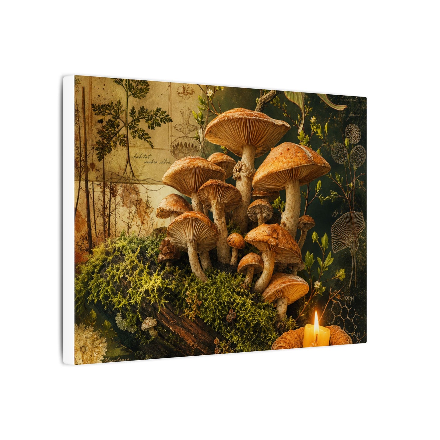 Spring Wild Mushrooms Herbarium Canvas Art | Earthy Decor