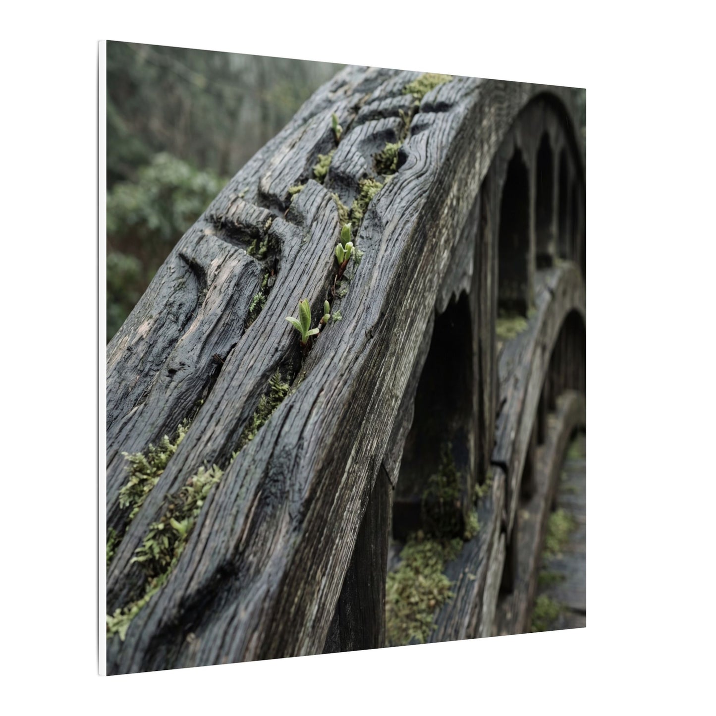 Overcast Wooden Bridge Canvas Art - Japandi Kanso