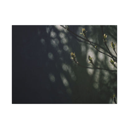 Dark Japandi Shoji Screen in Dappled | Moody Minimal Canvas Art Art Print