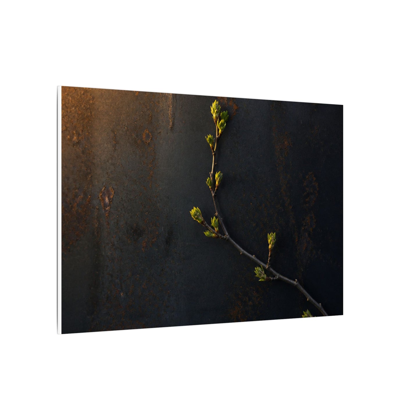Dark Japandi Rust Patina in Golden Hour | Moody Minimal Canvas Art