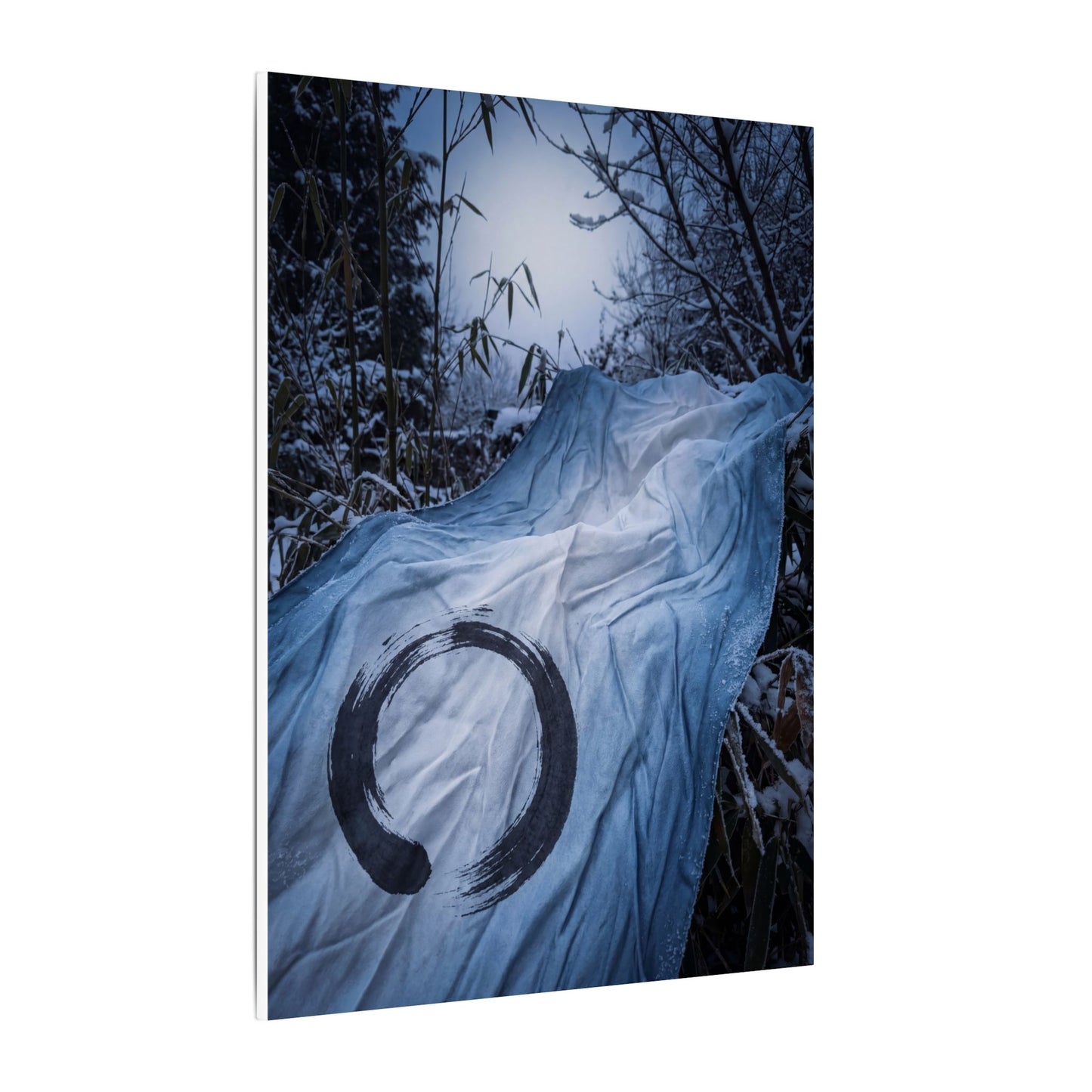 Moonlight Silk Drape Canvas Art - Zen Datsuzoku