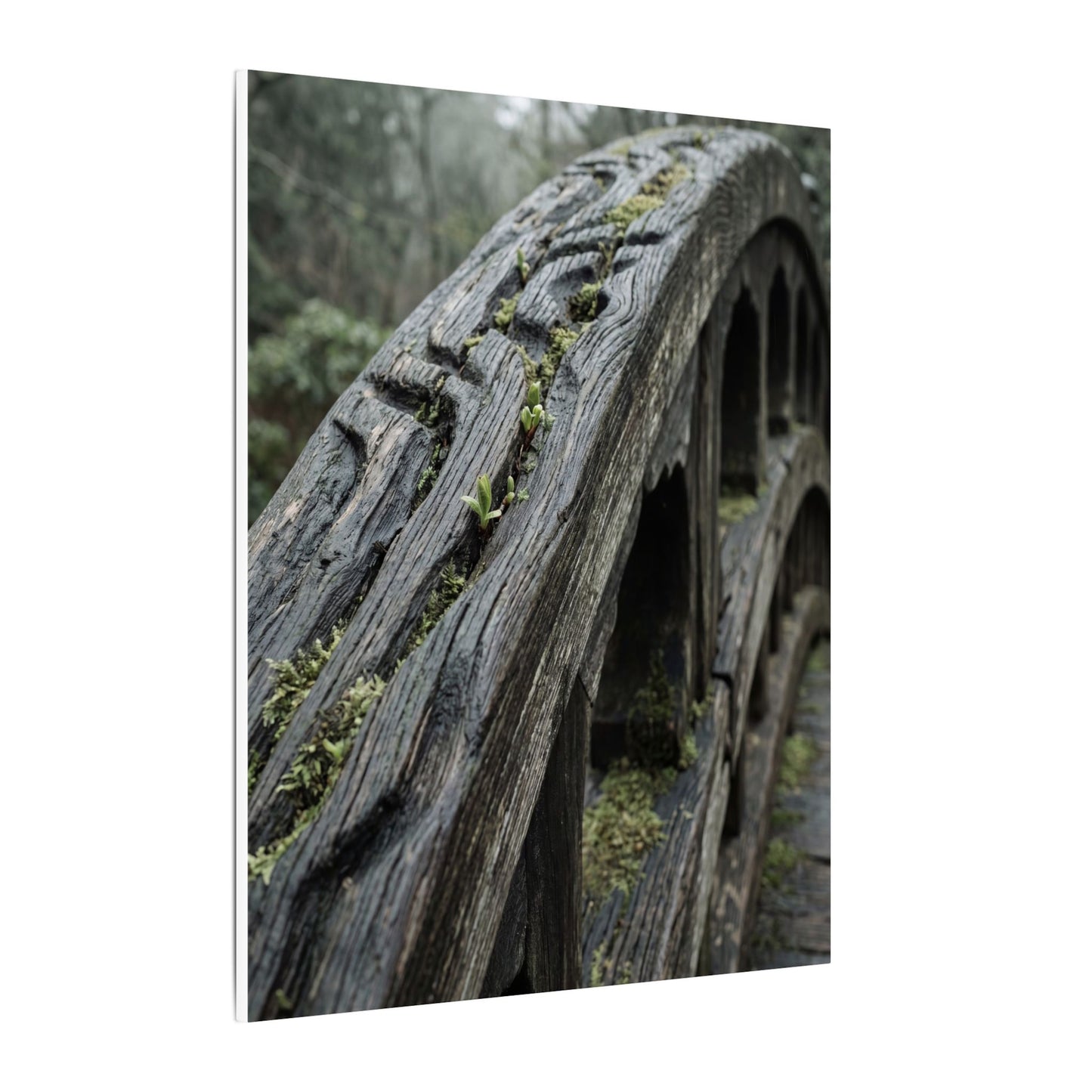 Overcast Wooden Bridge Canvas Art - Japandi Kanso