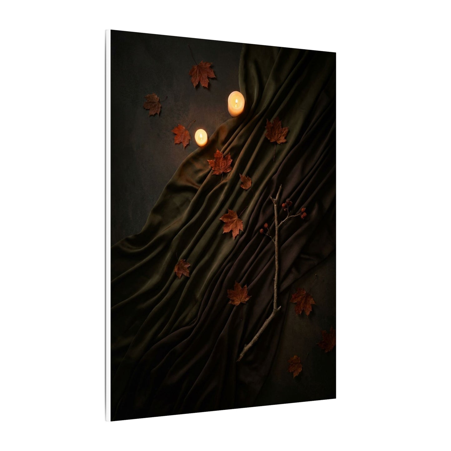Autumn Silk Drape Moody Minimal Canvas Art | Moody Decor