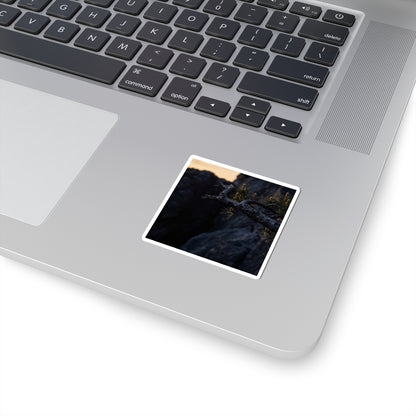 Golden Hour Pine Tree Sticker - Dark Japandi Ma