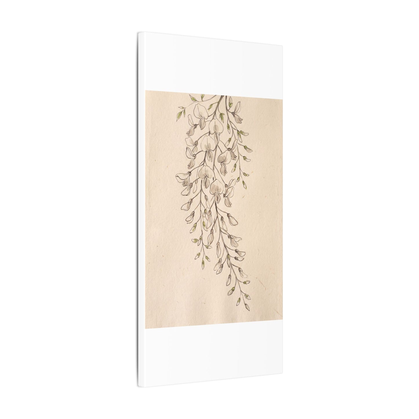Japandi Wisteria in Golden Hour | Minimal Line Canvas Art