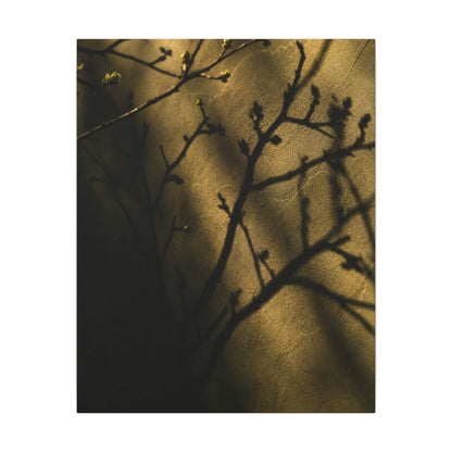 Golden Hour Shadow Play Canvas Art - Dark Japandi Seijaku