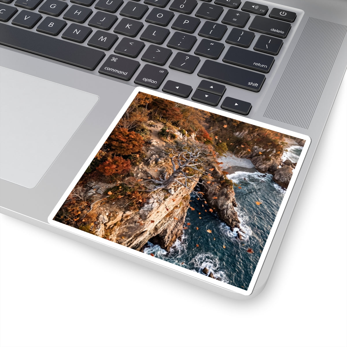 Golden Hour Pine Tree Sticker - Japandi Kanso