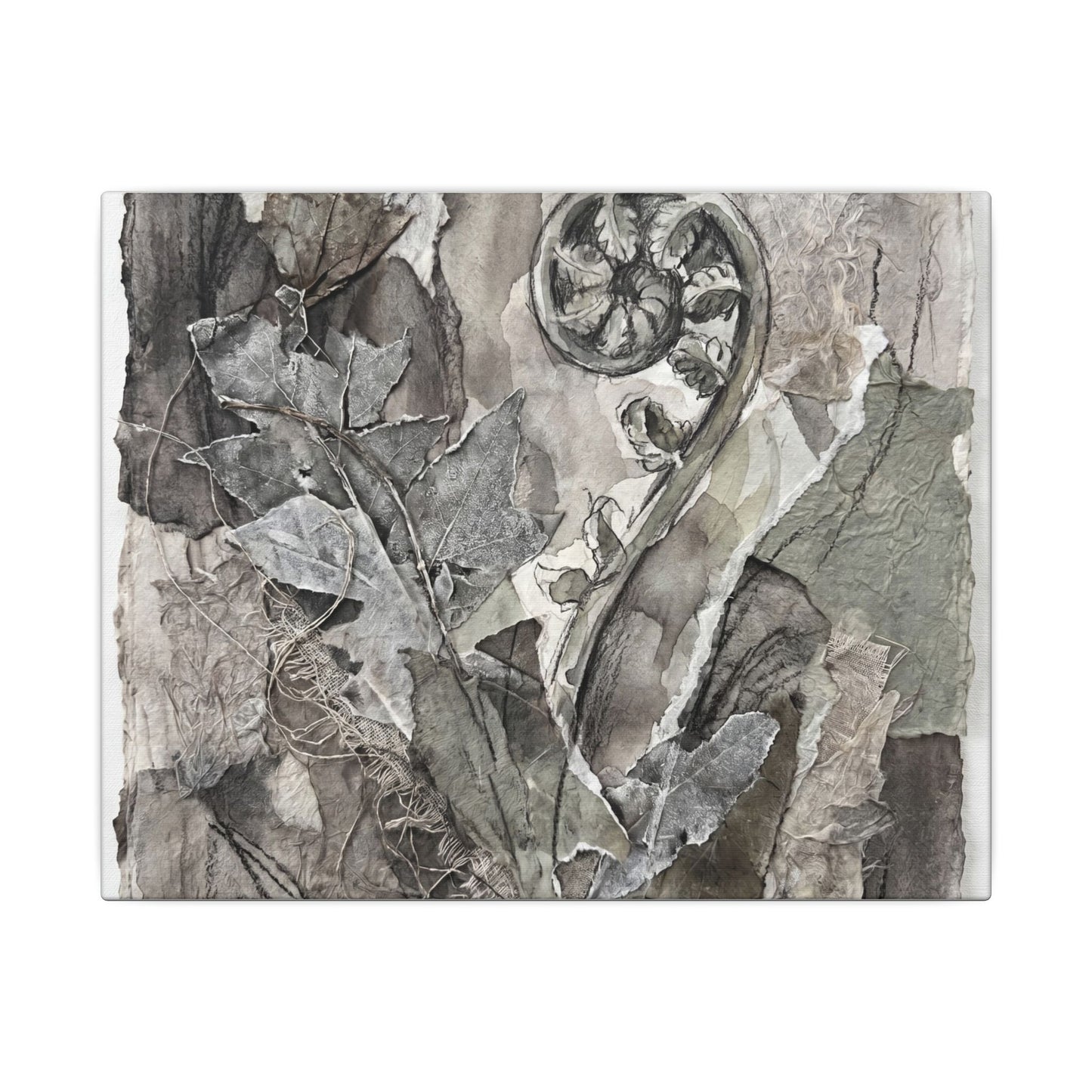Japandi Fern Unfurling in Overcast | Texture Canvas Art