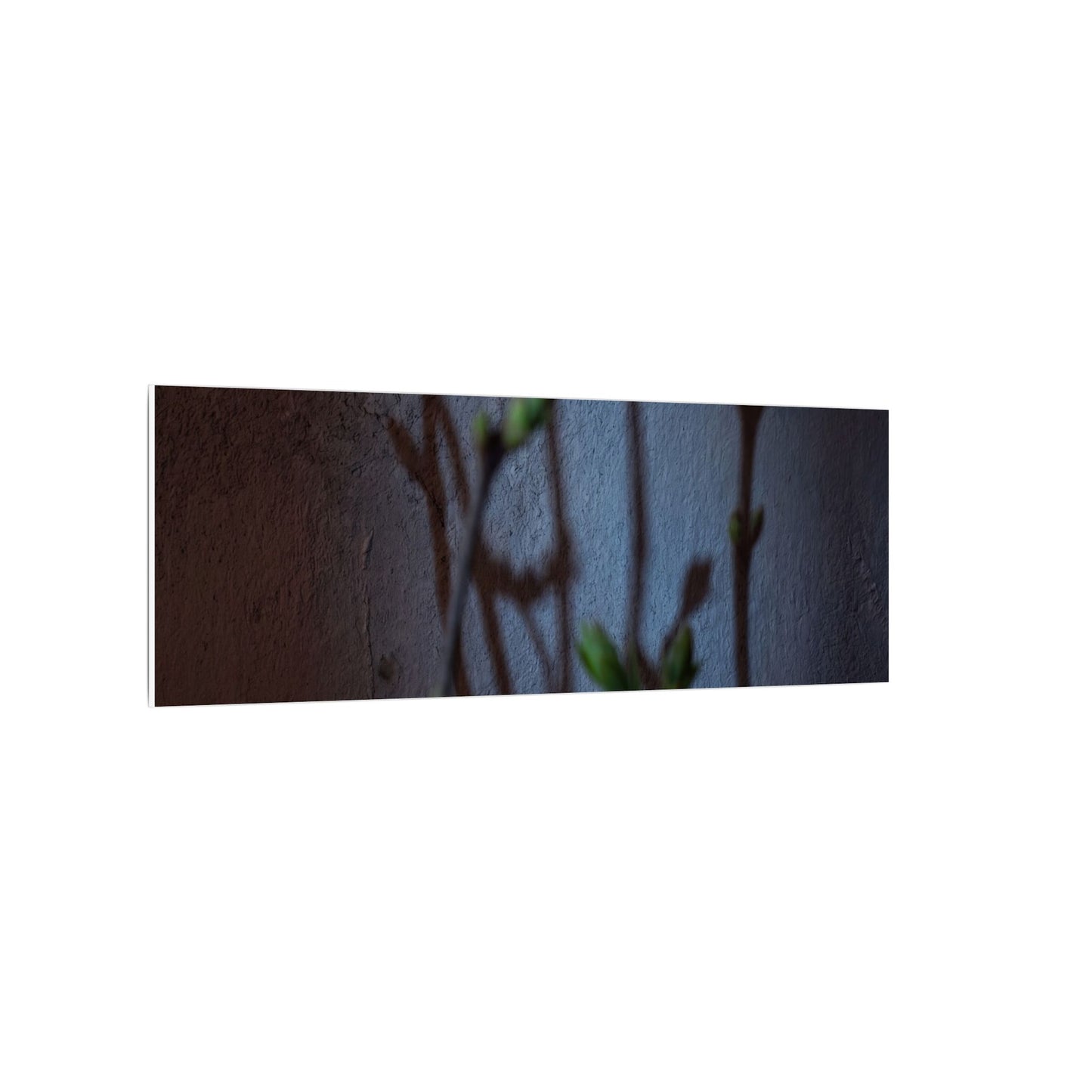 Shadow Play Spring Canvas Art | Dark Japandi Sophisticated Design