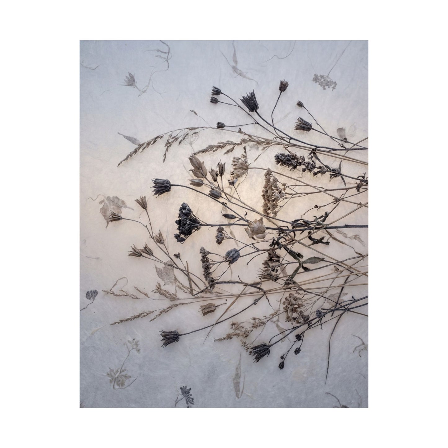 Winter Dried Flowers Japanese Pattern Wall Art Print | Warm Decor