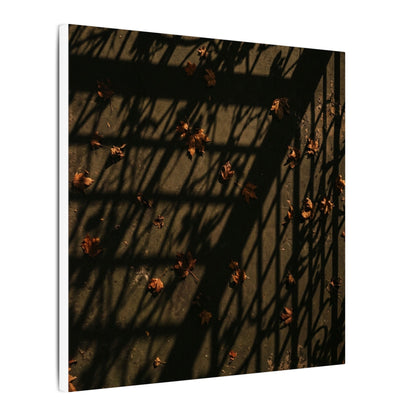 Shadow Play Canvas Art | Autumn Dark Japandi Moody Minimal Art