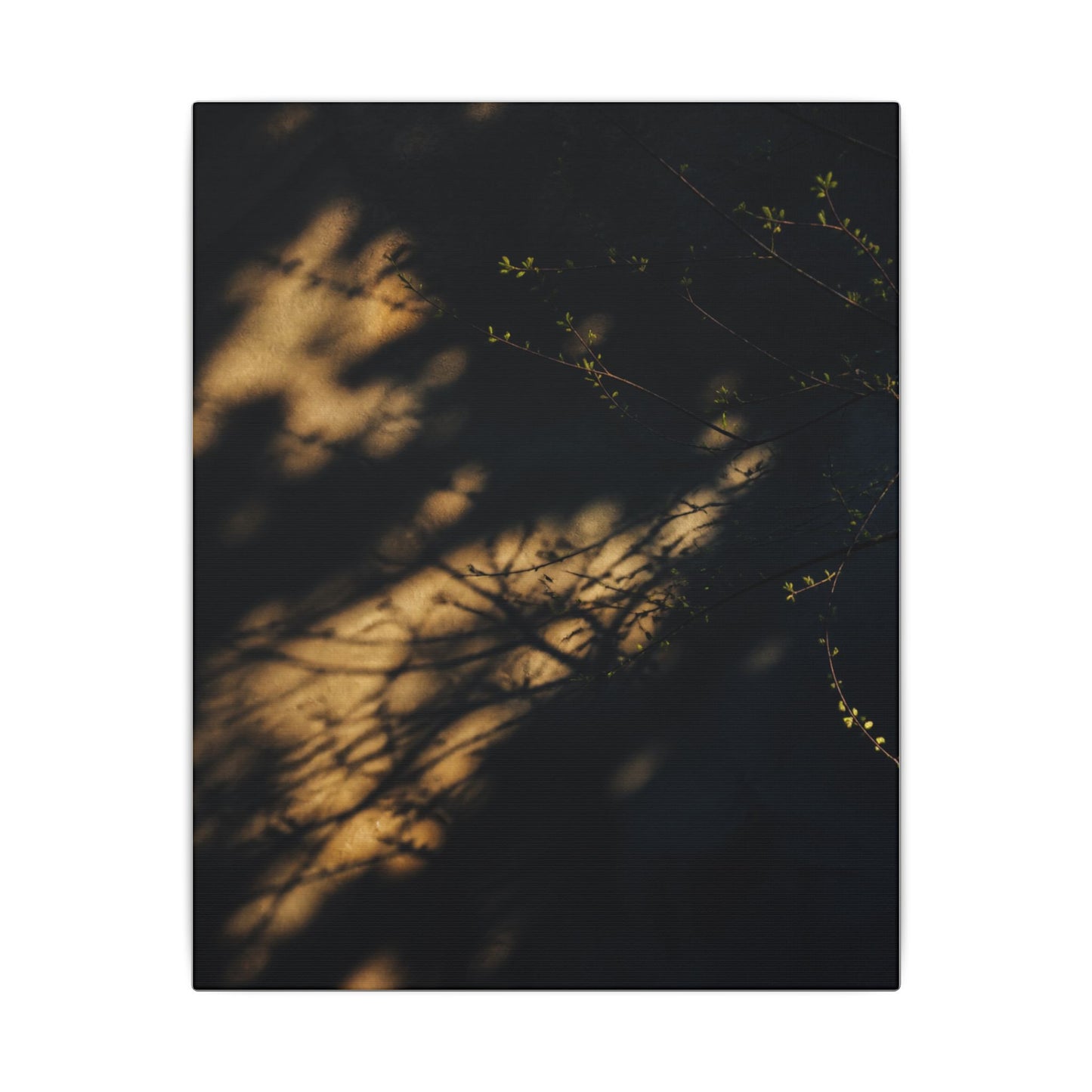 Moody Shadow Play Canvas Art - Moody Minimal Dark Japandi