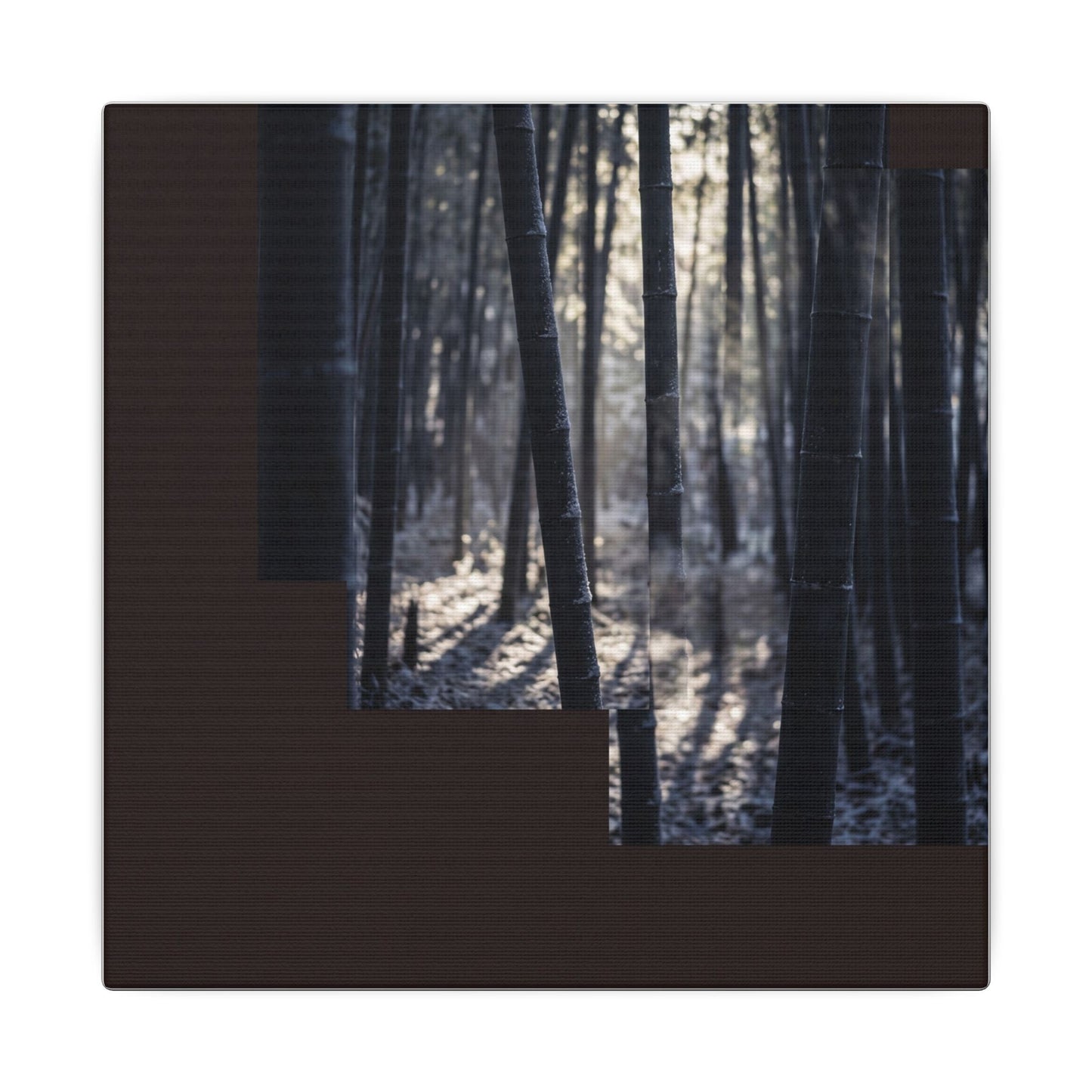 Bamboo Grove Canvas Art | Winter Dark Japandi Moody Minimal Art