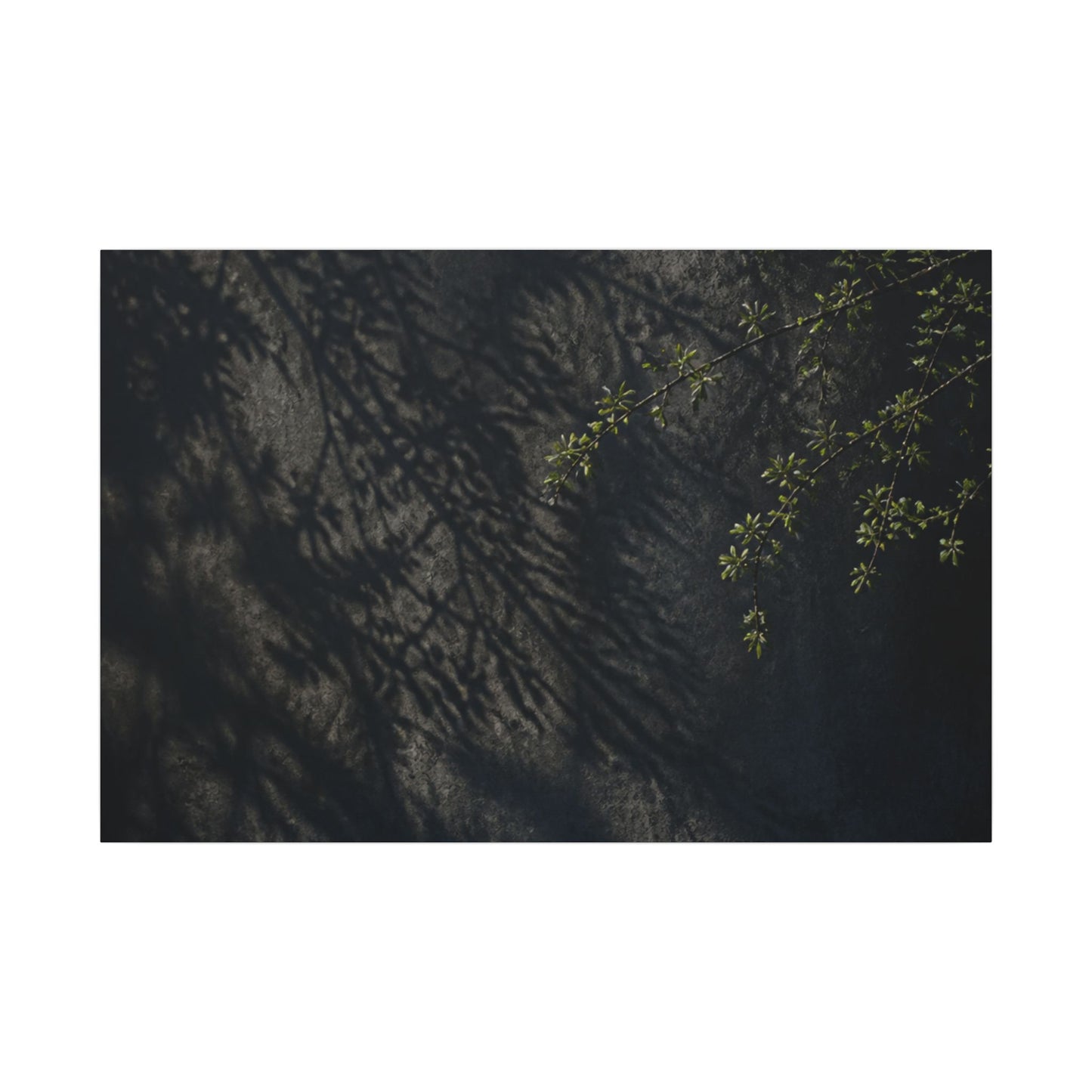 Overcast Shadow Play Canvas Art - Dark Japandi Seijaku