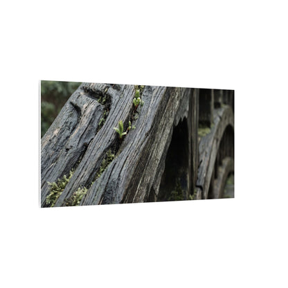 Overcast Wooden Bridge Canvas Art - Japandi Kanso