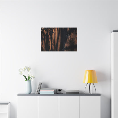 Golden Hour Shadow Play Canvas Art - Dark Japandi Fukinsei