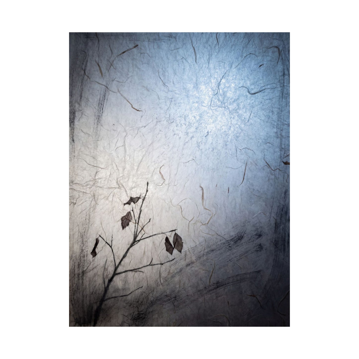 Japandi Shoji Screen in Moonlight | Texture Wall Art Print